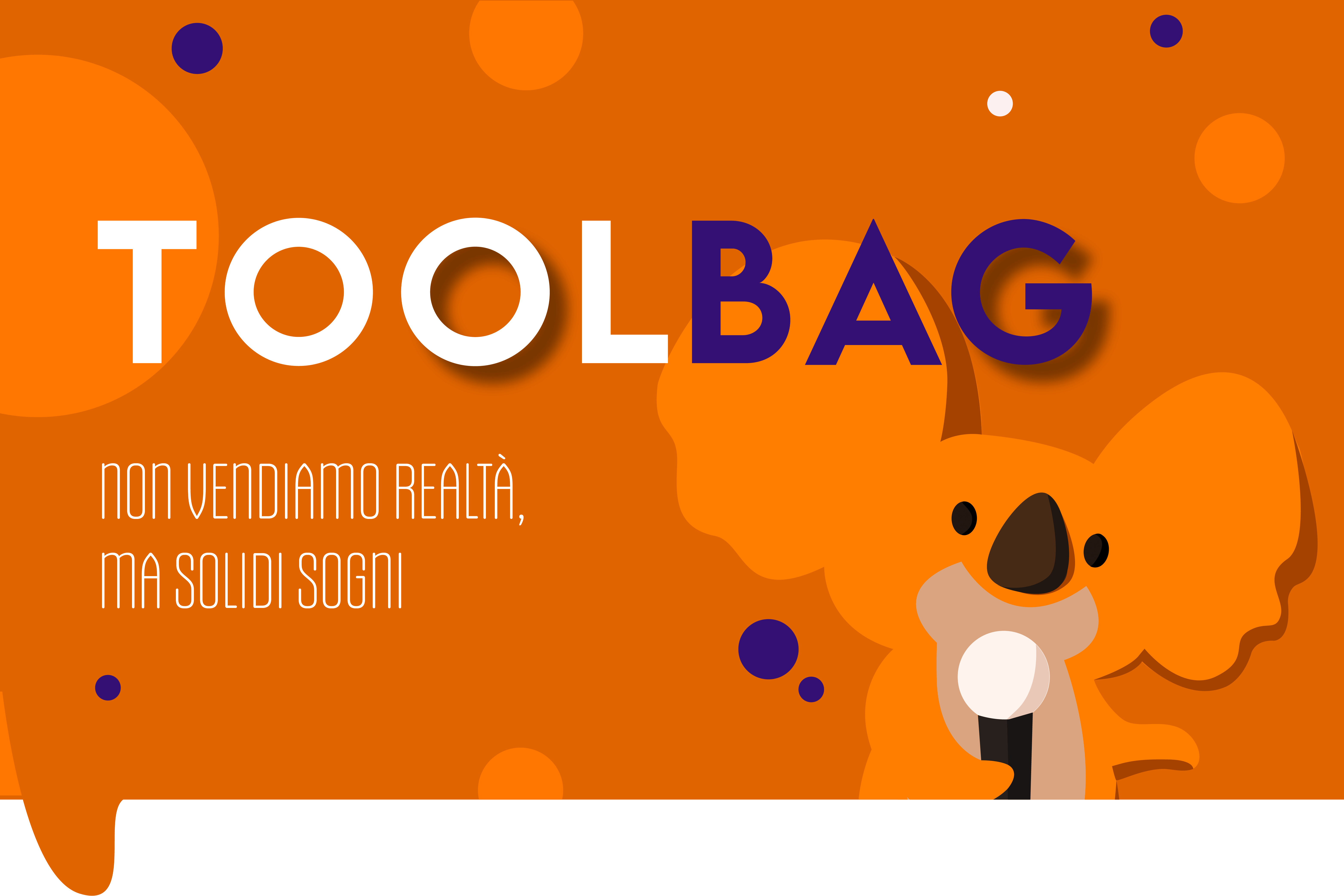 immagine di copertina toolbag con claim "non vendiamo realtà, ma solidi sogni". E' un programma di orientamento professionale per studenti che ha come mascotte un koala con un microfono